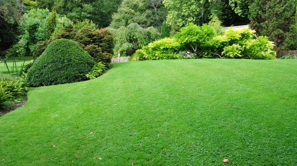 Commercial Landscape Design in Seminole