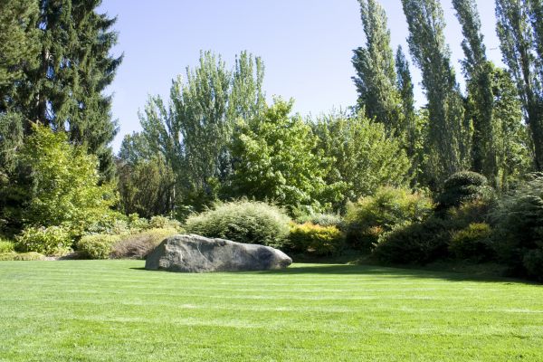 Yard Enlargement in Seminole