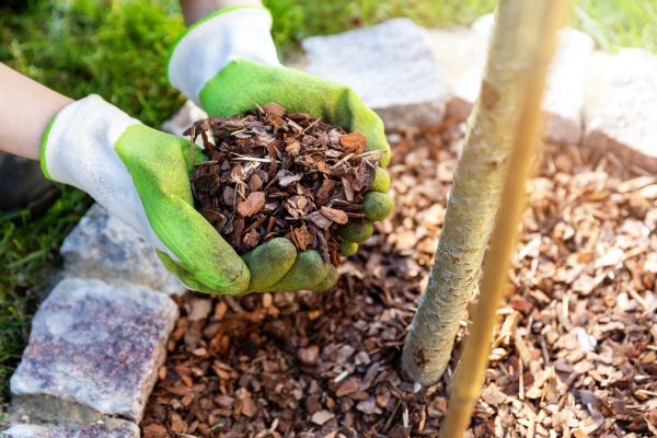 Tree Bark Delivery in Seminole