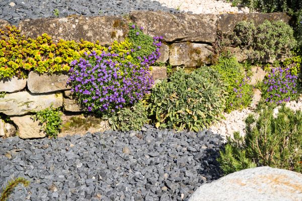 Landscaping Rocks Installation in Seminole