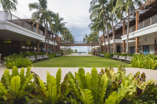 Commercial Lawn Renovation in Seminole