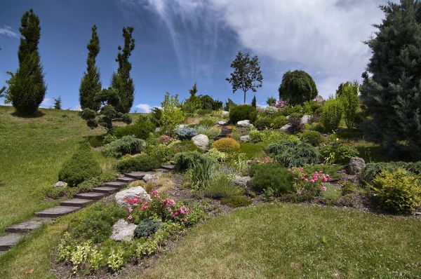 Steep Terrain Landscaping in Seminole