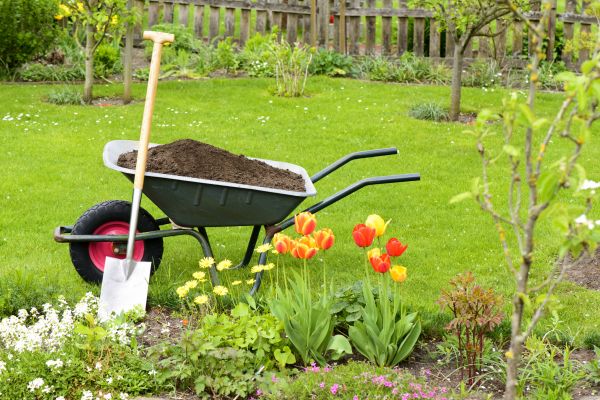Spring Yard Renovation in Seminole
