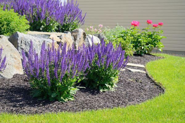 Landscape Planting Service in Seminole