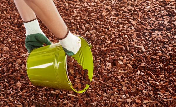 Wood Chip Landscaping in Seminole