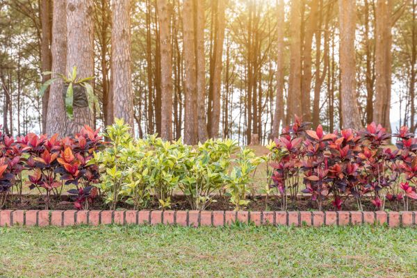 Small Garden Landscaping in Seminole
