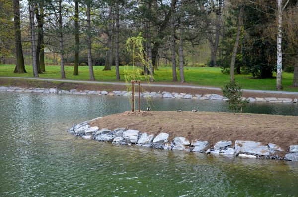Pond Landscaping Service in Seminole
