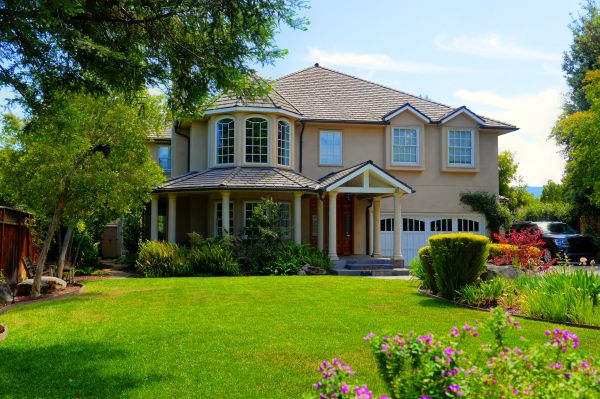 Large Yard Landscaping in Seminole