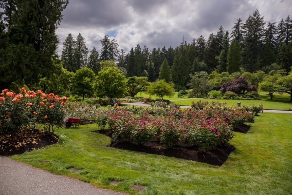 Flower Garden Landscaping in Seminole