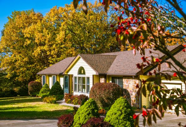 Ranch Landscaping in Seminole