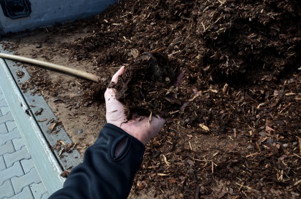 Condo Mulching in Seminole