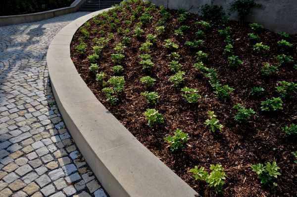Commercial Mulching in Seminole