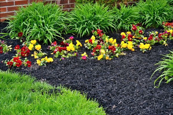 Apartment Mulching in Seminole