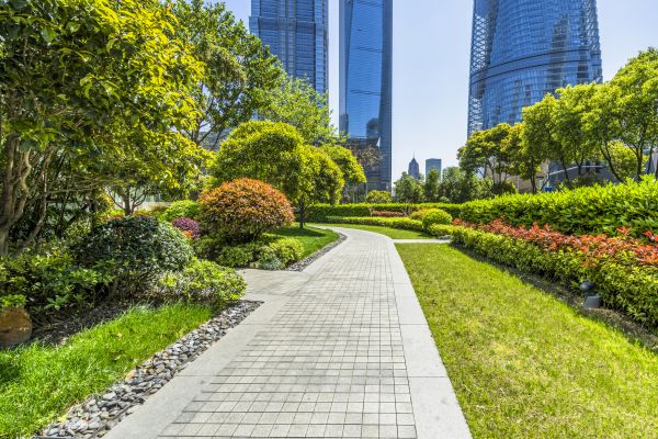 Commercial Landscaping in Seminole
