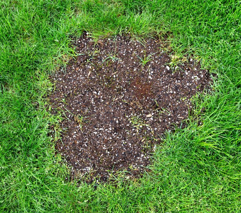 Lawn Repair Service detail