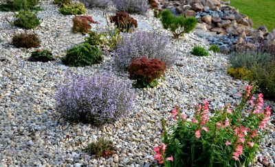 Planting and Hardscape Installation